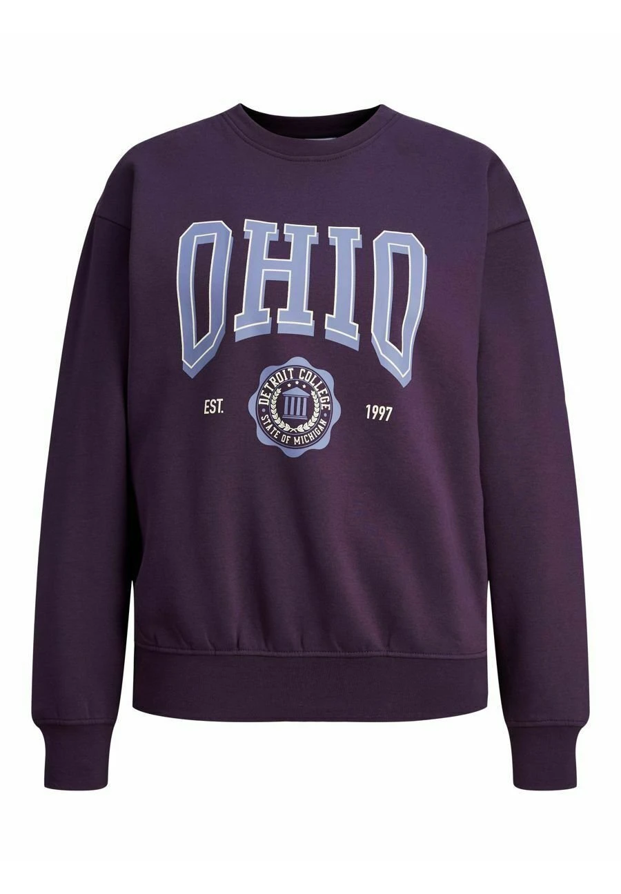 JJXX JxohioFelpaPurple Velvet Donna Felpe JJ621J01F-I11 5 JJXX JxohioFelpaPurple Velvet Donna Felpe JJ621J01F-I11 - immagine 5