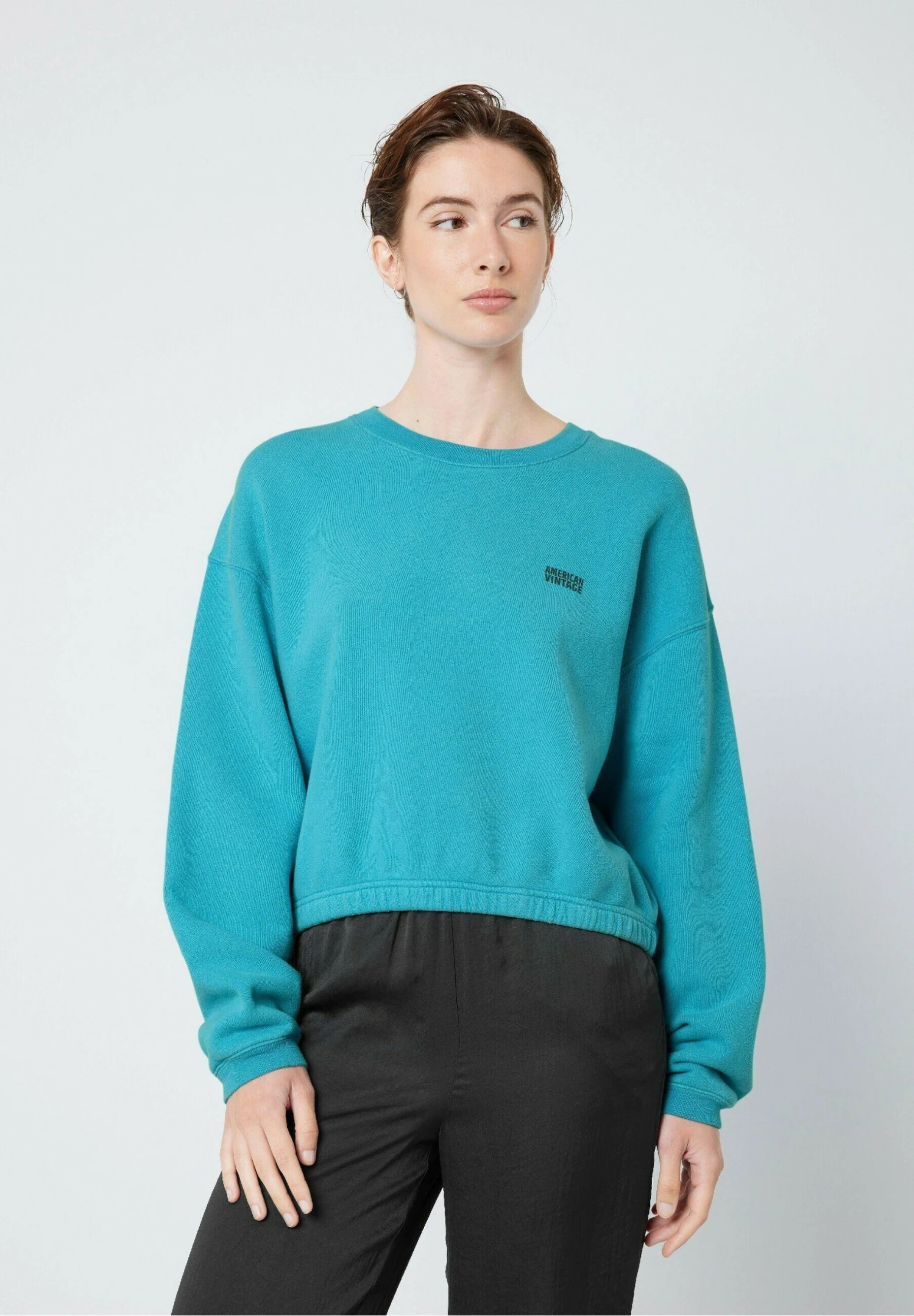 American Vintage Izubird - Felpa - Vintage 1 American Vintage Izubird - Felpa - Vintage