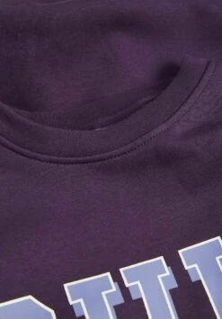 JJXX JxohioFelpaPurple Velvet Donna Felpe JJ621J01F-I11 15 JJXX JxohioFelpaPurple Velvet Donna Felpe JJ621J01F-I11 -Vendite Next 29fd44470333471c86e256c50a31481d