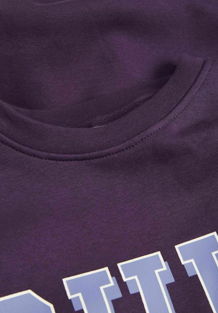 JJXX JxohioFelpaPurple Velvet Donna Felpe JJ621J01F-I11 8 JJXX JxohioFelpaPurple Velvet Donna Felpe JJ621J01F-I11 - immagine 8