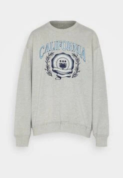 Hollister Co. Trend CrewFelpaLight Grey Donna Felpe H0421J076-C11 10 Hollister Co. Trend CrewFelpaLight Grey Donna Felpe H0421J076-C11 -Vendite Next 2c67e0969a0f4868824b31e44cbe199b